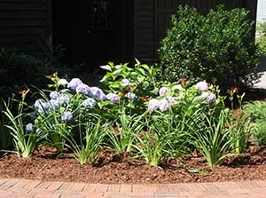 Flower Bed.jpg
