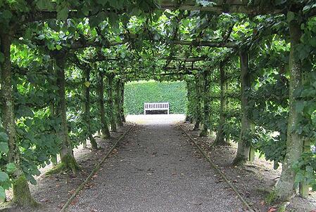 The_Bench