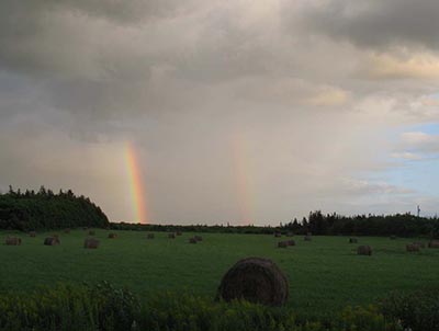 Rainbows