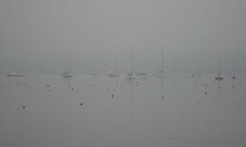 Foggy Bay