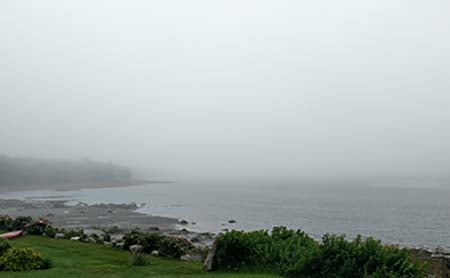 Foggy Coast