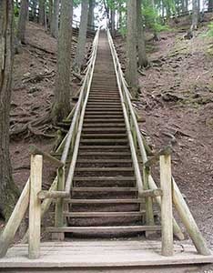 Jacobs Ladder
