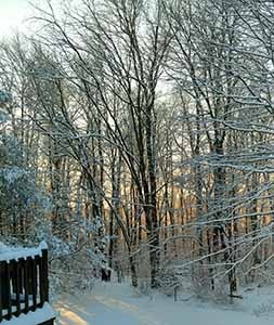 snowfall.jpg